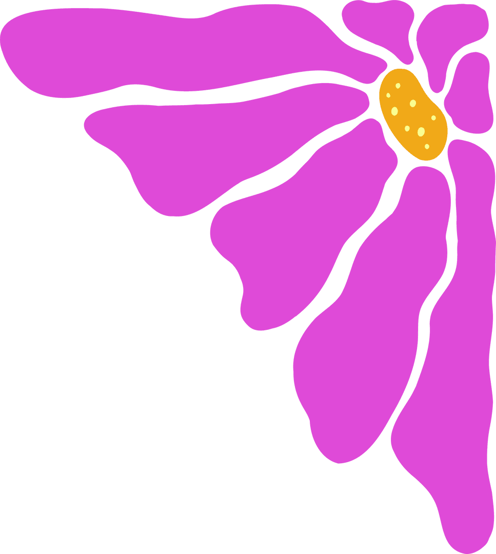 Bright Magenta Flower with Yellow Center on Transparent Background
