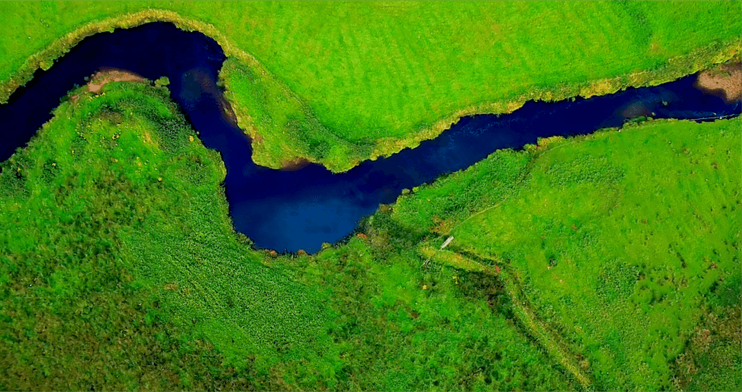 Transparent River Curves Through Lush Green Landscape, Aerial View
