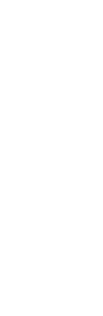 Digital Silhouette Woman with Stick Transparent Background PNG