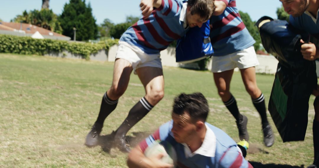 Intense Rugby Match with Players Tackling for Possession on Sunny Field - Free Images, Stock Photos and Pictures on Pikwizard.com