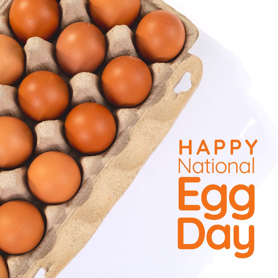 National Egg Day Celebration with Brown Eggs in Carton on White Background - Download Free Stock Templates Pikwizard.com