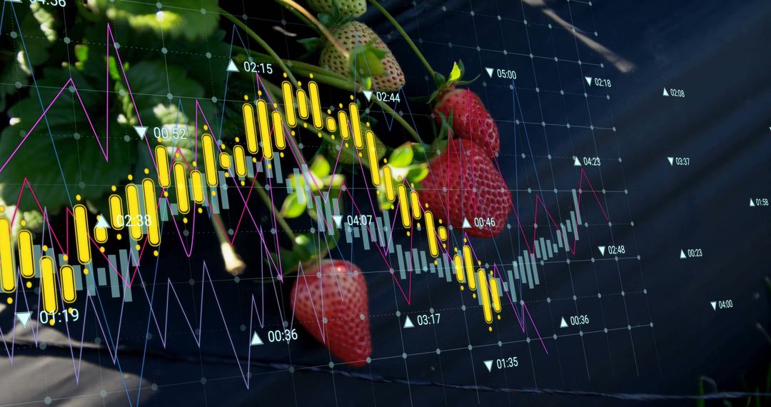 Strawberries with Financial Data Overlay Representing Agri-Tech