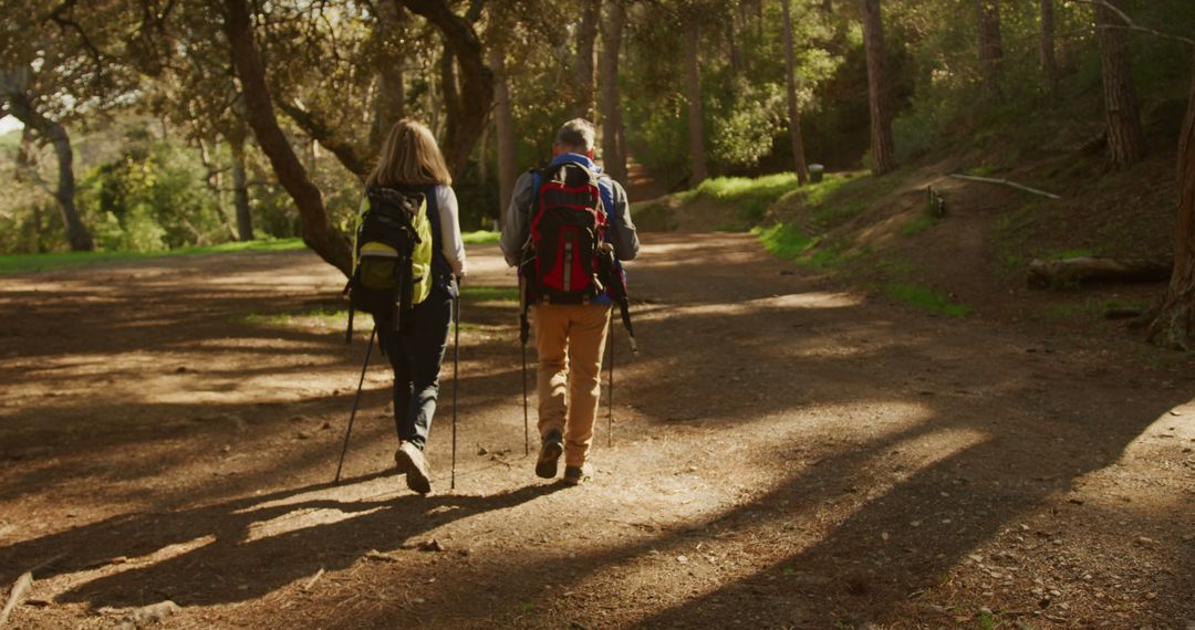 Active Senior Couple Hiking Through Forest Trail
