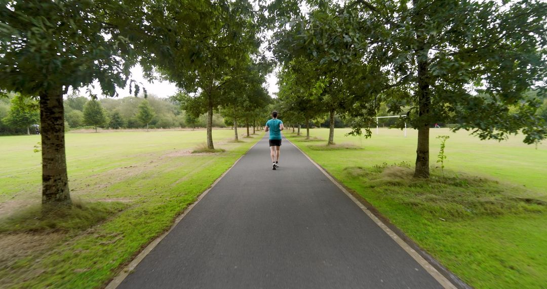 Jogger Running on Picturesque Pathway in Lush Green Park