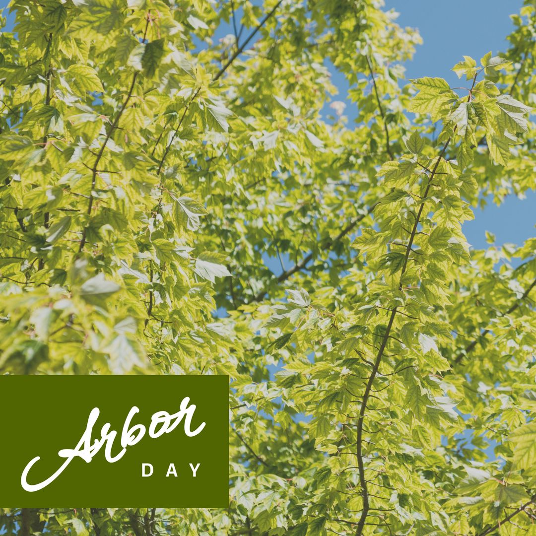 Celebrating Arbor Day with Vibrant Green Foliage