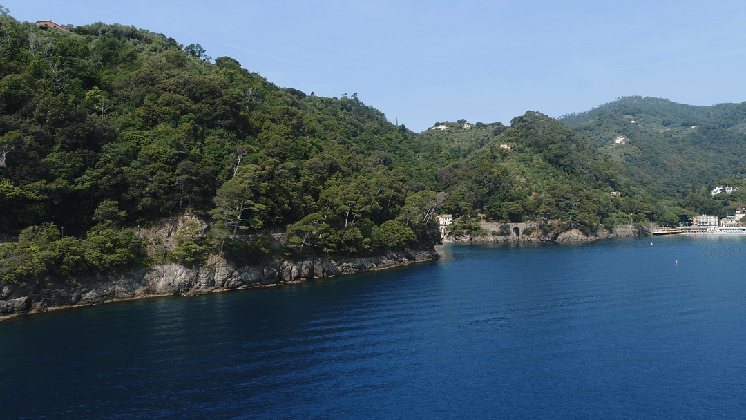 Transparent Lake by Mountain and Clear Sky with Lush Forest