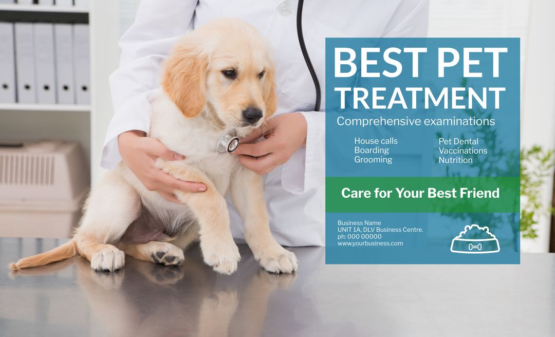 Veterinarian examining adorable puppy for pet care services ad