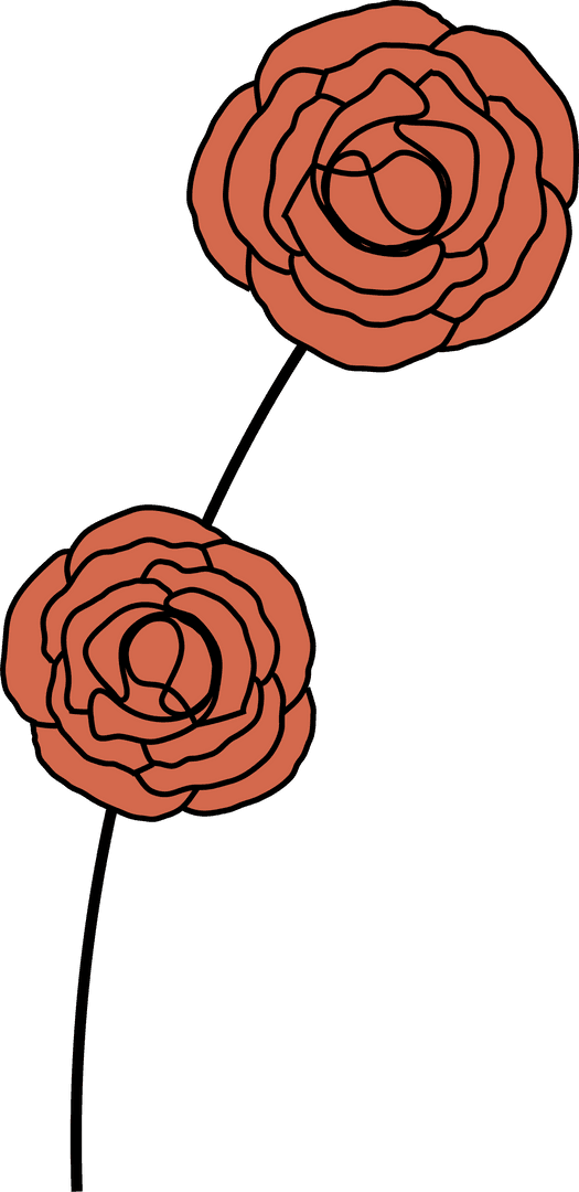 Stylized Red-Orange Rose Blooms on Curved Stem Transparent Background
