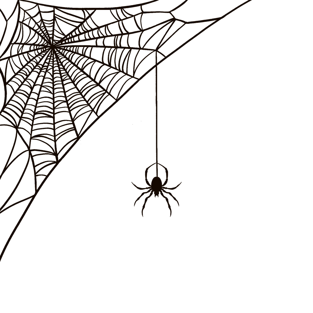 Minimalist Spider on Transparent Intricate Web