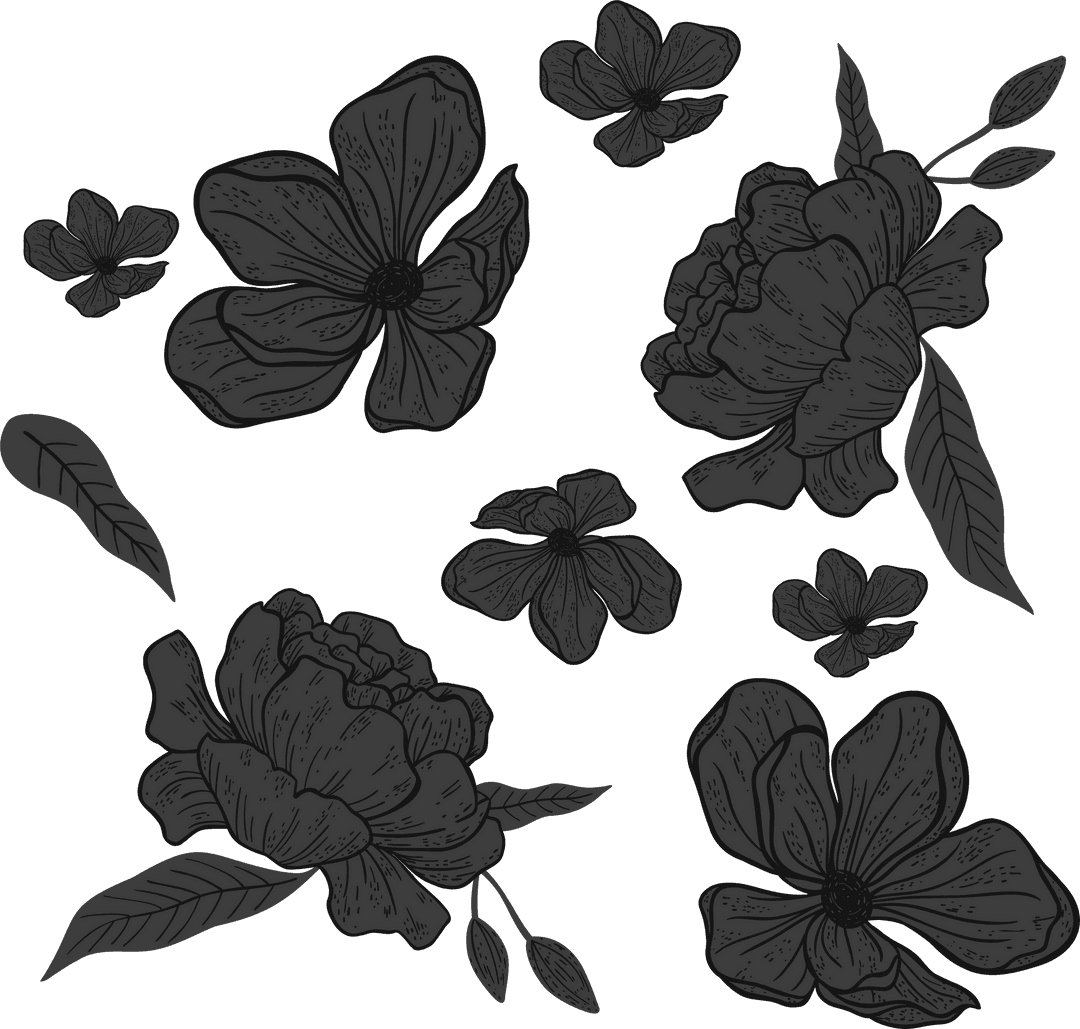 Peony Flowers Botanical Line Art on Transparent Background