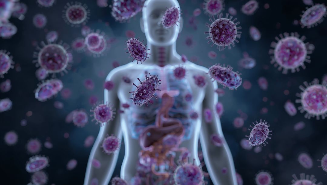 Human Torso with Microbes in Medical Visualization