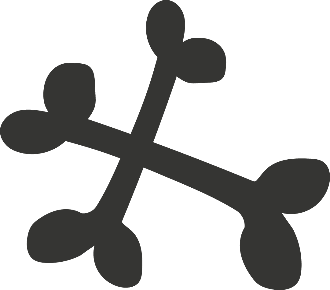 Minimalist Organic Crossed-Branch Silhouette on Transparent Design