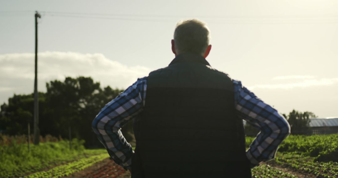 Senior Man Contemplating in Sunrise Field