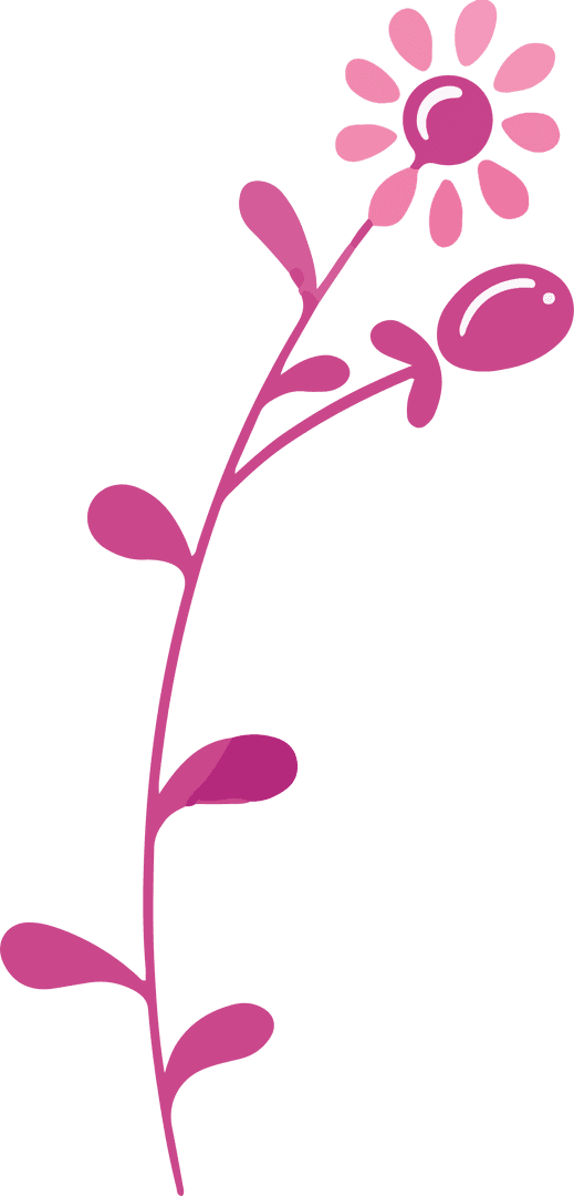 Elegant Pink Flower with Transparent Background Floral Design