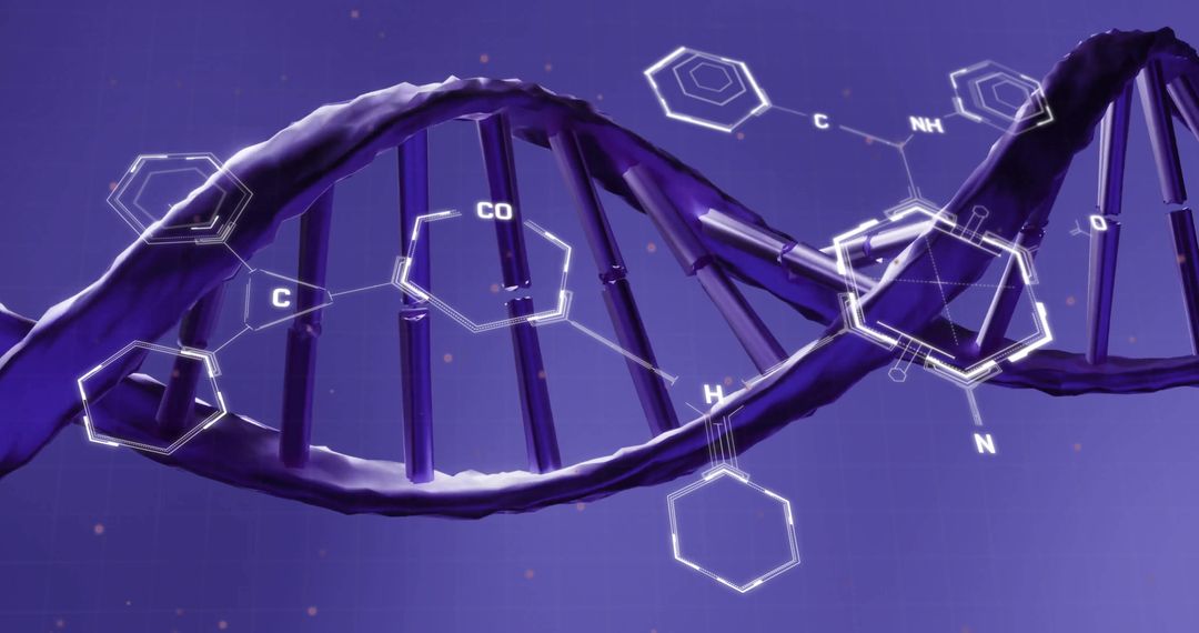DNA Helix with Structural Formulas and Data Visualization