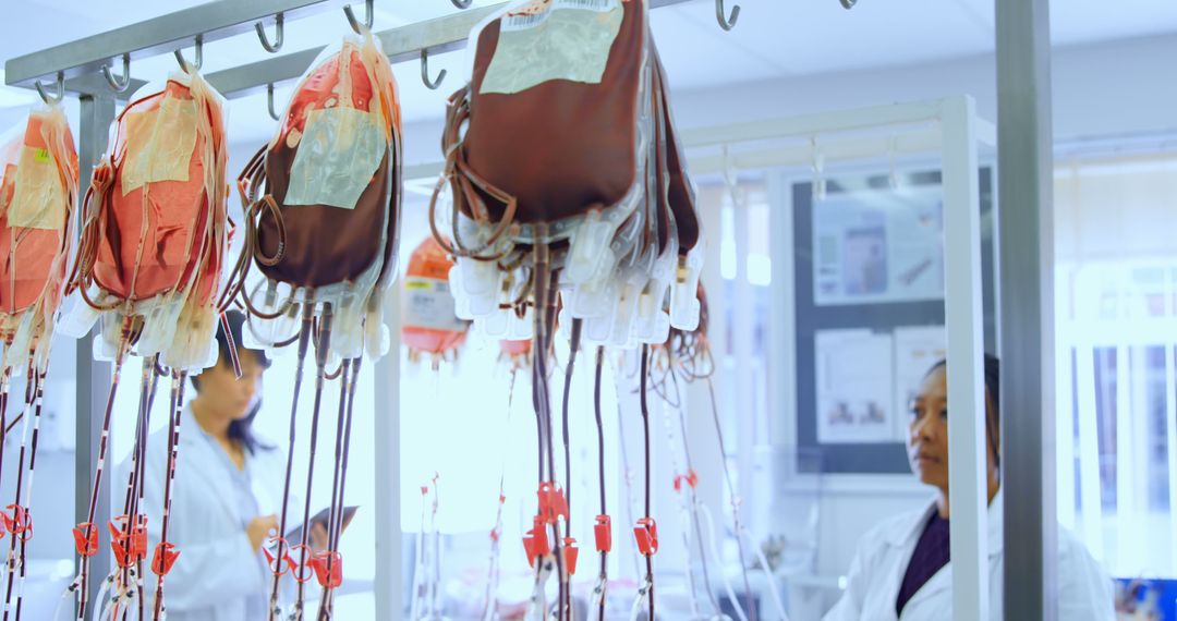 Medical Professionals in Laboratory with Hanging Blood Bags - Free Images, Stock Photos and Pictures on Pikwizard.com