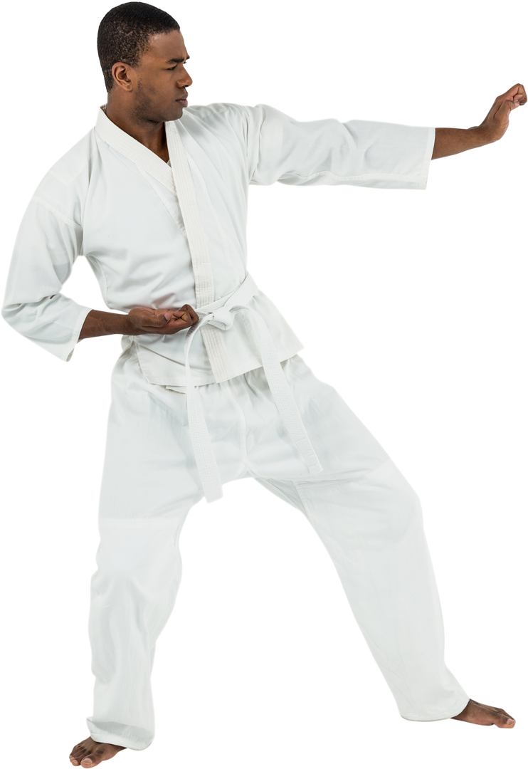 Martial Artist Practicing Karate Stance on Transparent Background - Download Free Stock Images Pikwizard.com