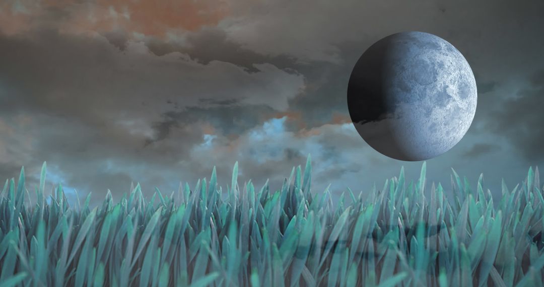 Serene Landscapes with Sky, Moon, and Grass