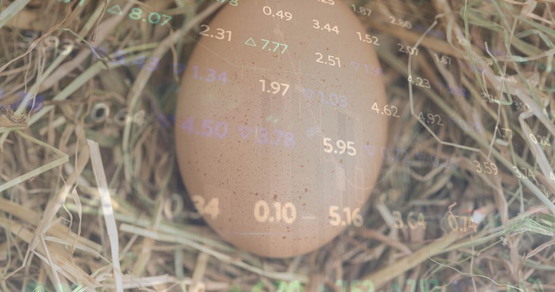 Egg Symbolizing Growth with Data Analytics Interface