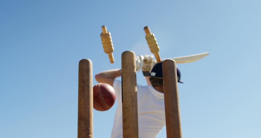 Cricket Player Bowled Out with Flying Bails under Clear Sky - Free Images, Stock Photos and Pictures on Pikwizard.com