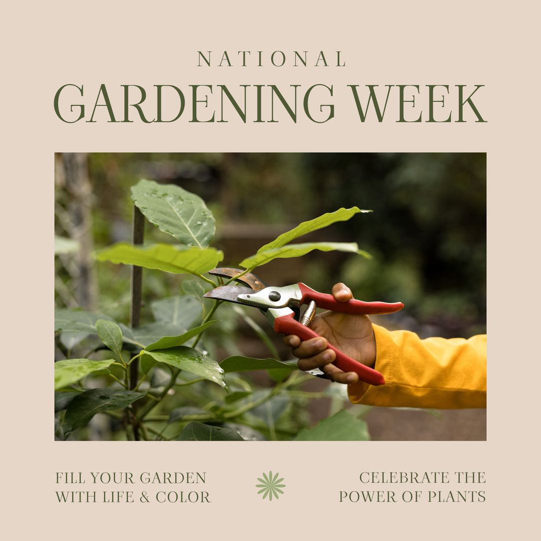 National Gardening Week: Celebrating Plant Power