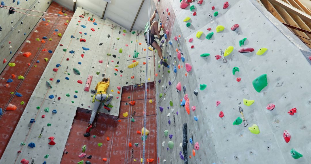 People Climbing Colorful Indoor Rock Wall in Gym - Free Images, Stock Photos and Pictures on Pikwizard.com