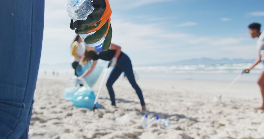 Volunteers Collecting Trash On Beach - Free Images, Stock Photos and Pictures on Pikwizard.com