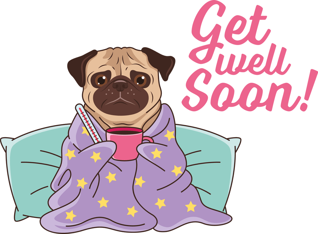 Playful Pug Get Well Soon Illustration Transparent Background