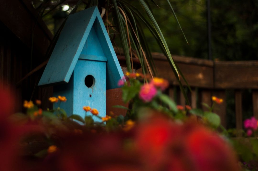 Blue Birdhouse in Garden with Colorful Blossoms - Free Images, Stock Photos and Pictures on Pikwizard.com