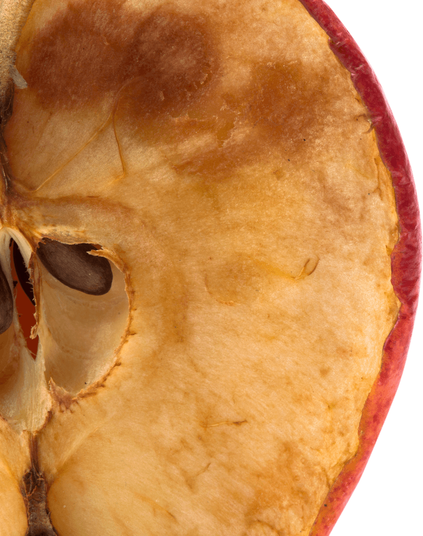 Close-Up of Rotting Apple with Visible Decay on Transparent Background