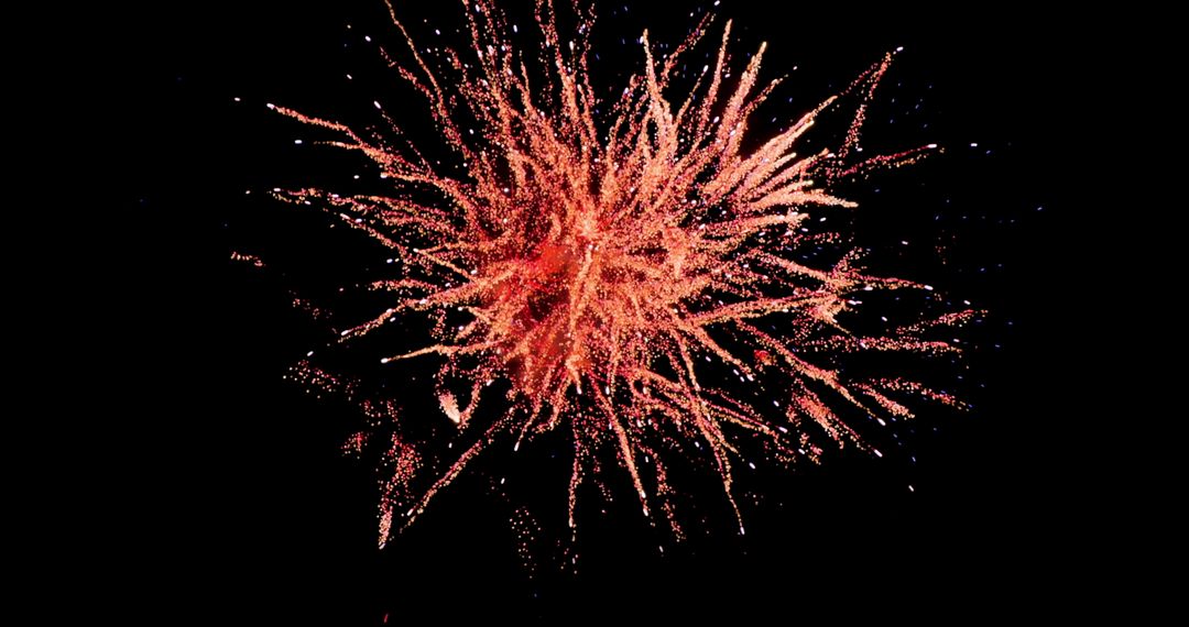Vibrant Red Fireworks Display Against Night Sky