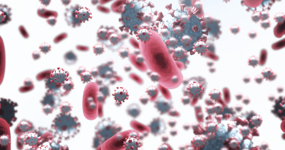 Transparent Covid-19 Virus with Blood Cells Visualization