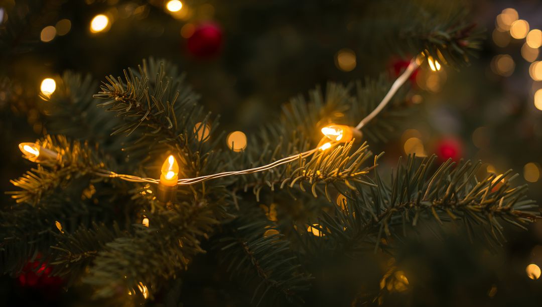 Warm LED Christmas lights glowing on evergreen branch with soft bokeh and red baubles