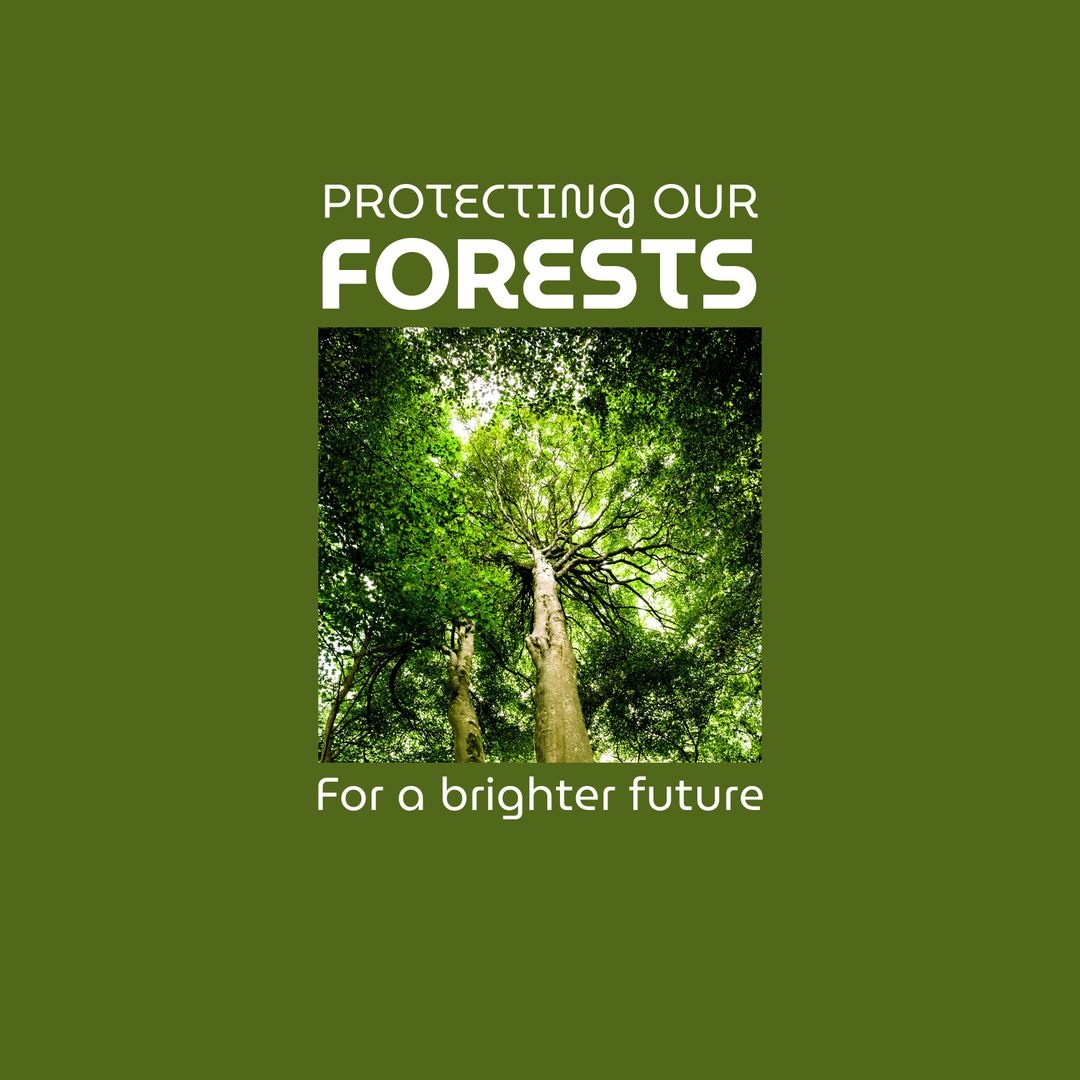 Protecting Our Forests for a Brighter Future – Tree Conservation Poster - Download Free Stock Templates Pikwizard.com