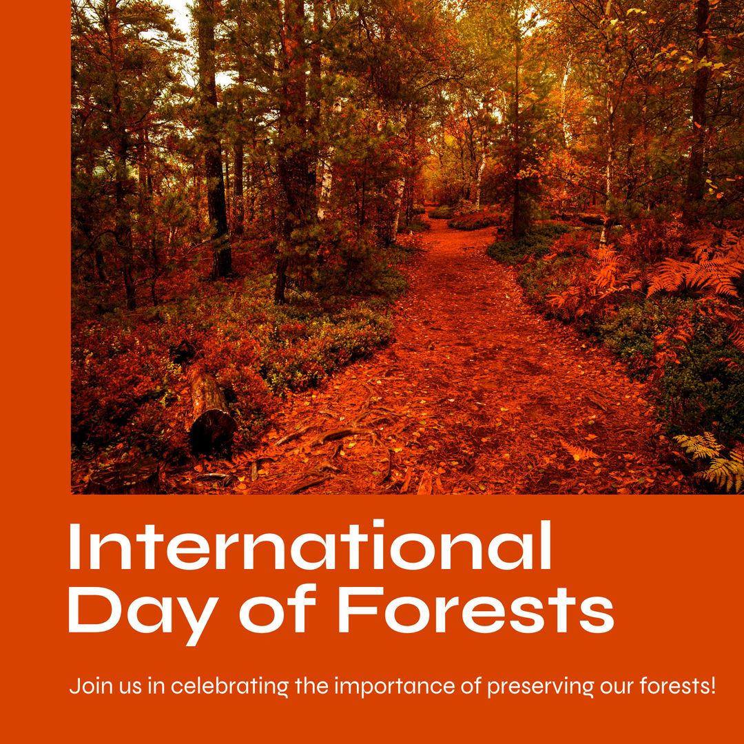 Scenic Forest Path Celebrating International Day of Forests