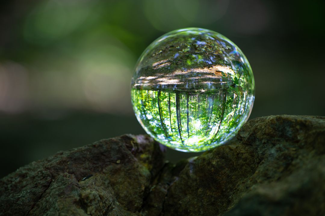 Crystal Ball Reflecting Forest Scenery on Rock