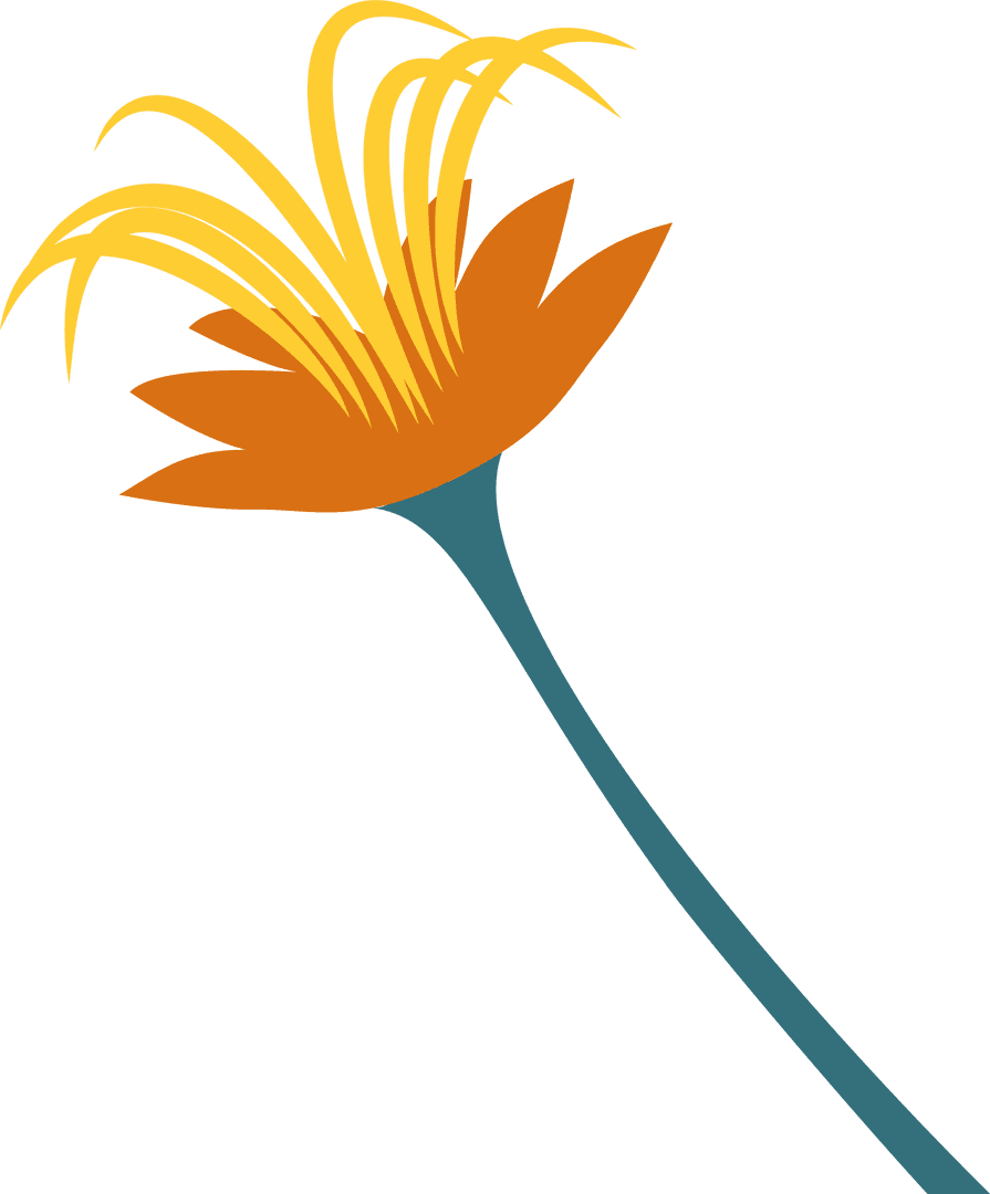 Transparent Orange Flower Illustration with Teal Stem