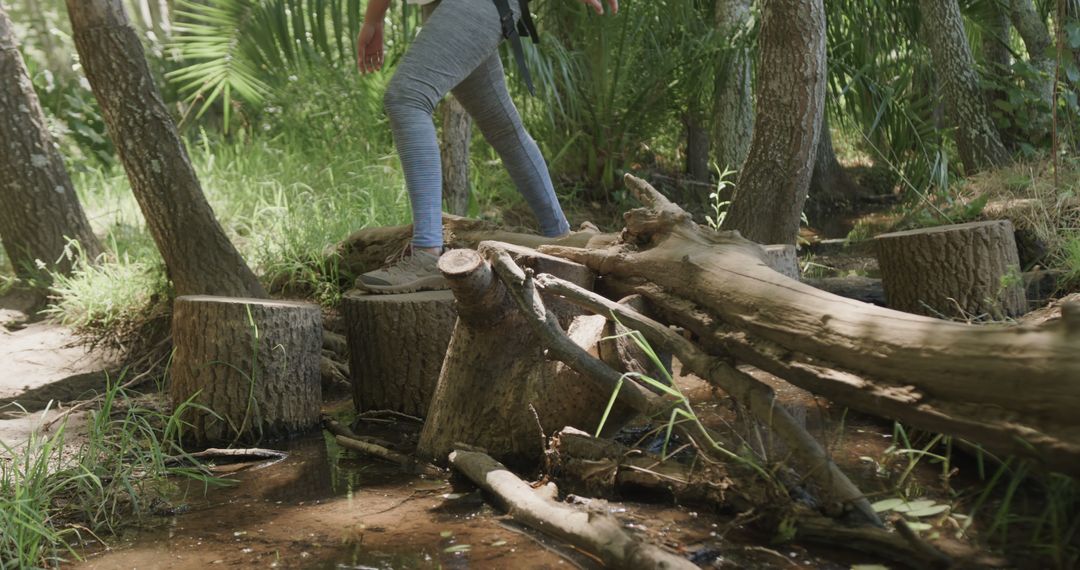 Person Walking on Logs in Forest Creek - Free Images, Stock Photos and Pictures on Pikwizard.com