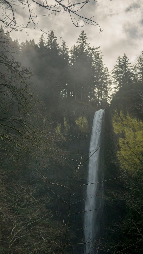 Majestic Waterfall in Misty Forest - Free Images, Stock Photos and Pictures on Pikwizard.com