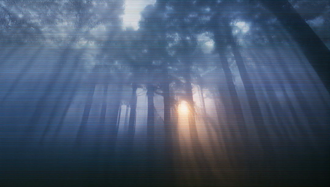 Misty Forest Sunrise with Sunbeam Streaming Through Trees