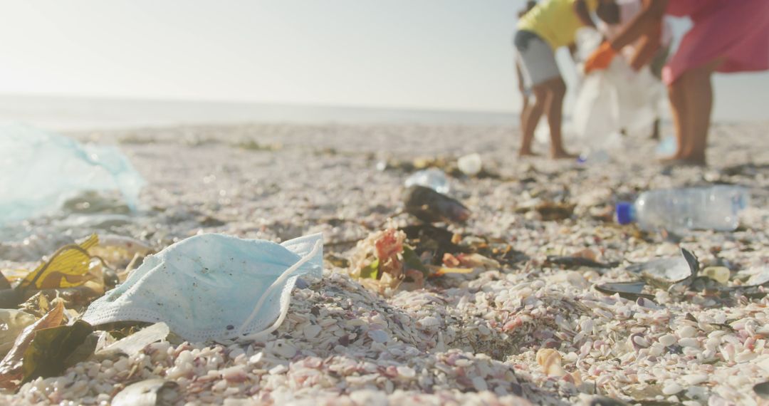 Volunteers Cleaning Litter on Beach During Sunset - Free Images, Stock Photos and Pictures on Pikwizard.com