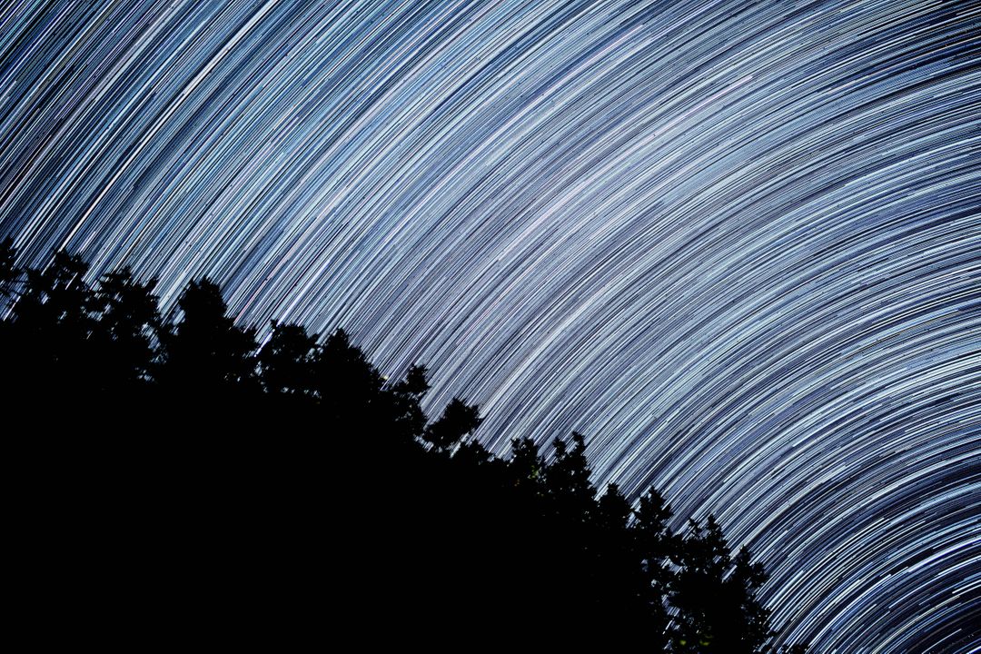 Dramatic Star Trails Above Silhouetted Forest at Night - Free Images, Stock Photos and Pictures on Pikwizard.com