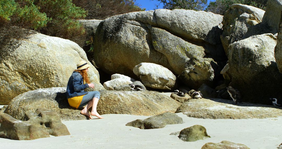 Woman Sitting on Beach Observing Penguins among Rocks - Free Images, Stock Photos and Pictures on Pikwizard.com