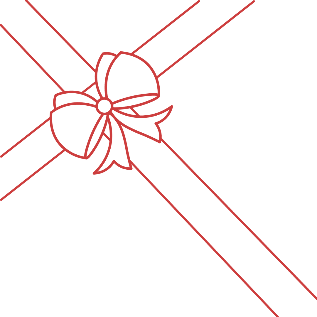 Minimalistic Red Gift Bow Vector on Transparent Background