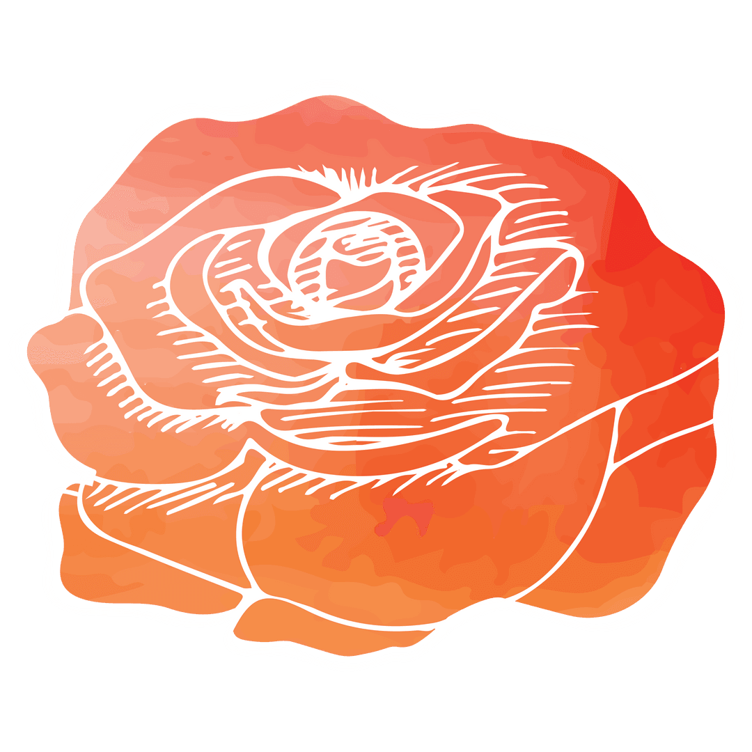 Vibrant Red and Orange Rose Illustration on Transparent Background