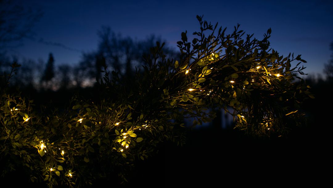 Glowing leafy garland with warm fairy lights at dusk, garden bokeh twilight