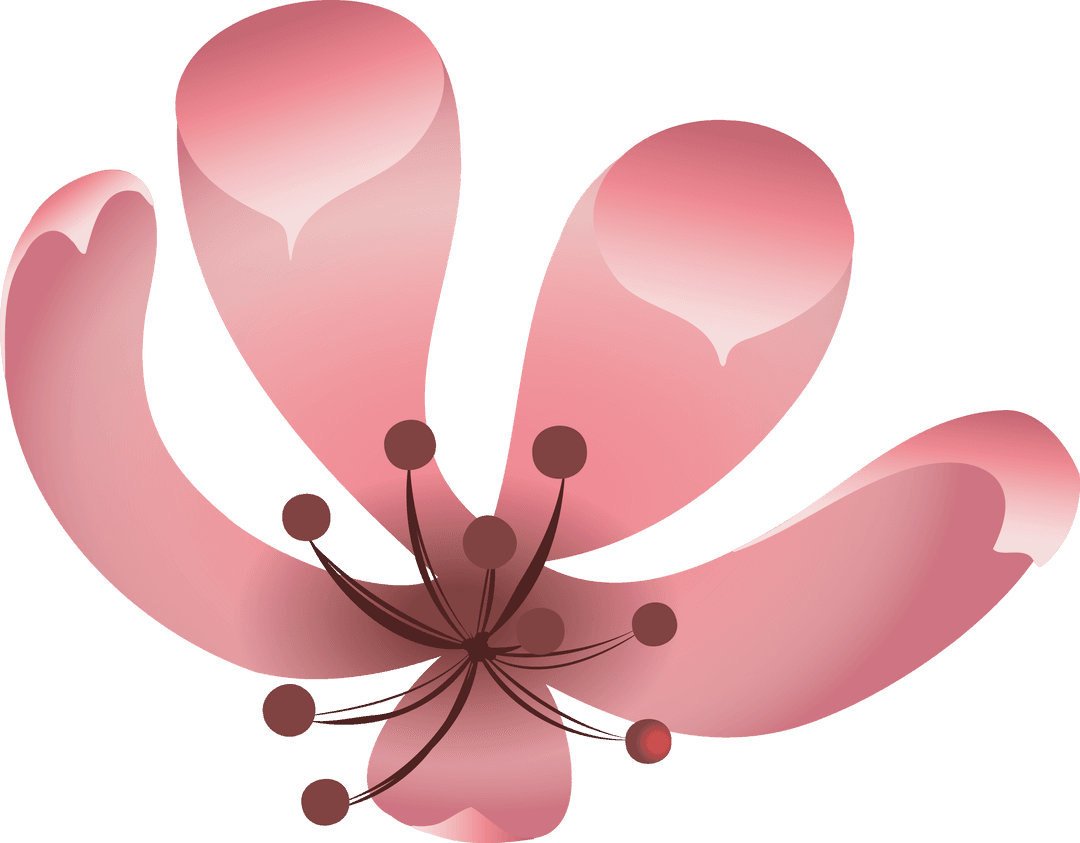 Pink Blossom with Gradient Petals on Transparent Background for Elegant Decor