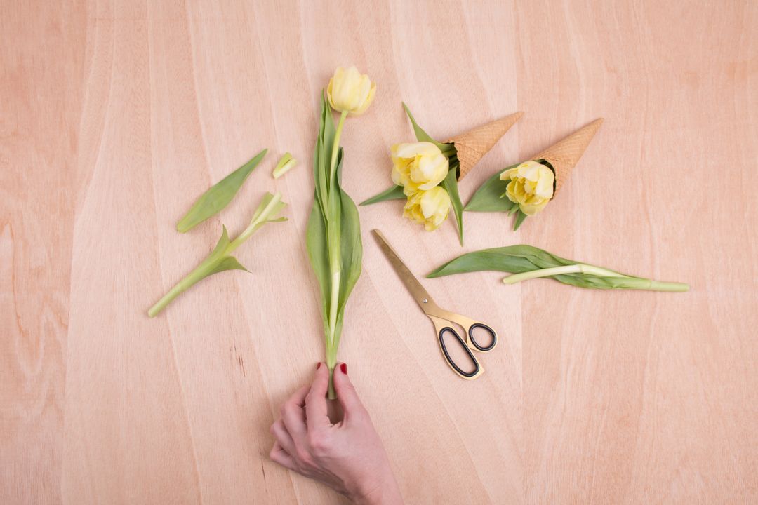 Creative Tulip Arrangement on Wooden Table with Scissors and Ice Cream Cones - Free Images, Stock Photos and Pictures on Pikwizard.com