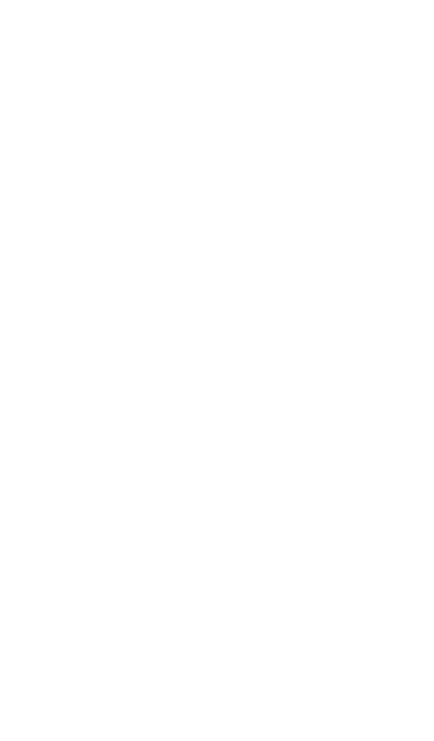 Happy Woman Celebrating Success in Transparent Silhouette Vector - Download Free Stock Images Pikwizard.com