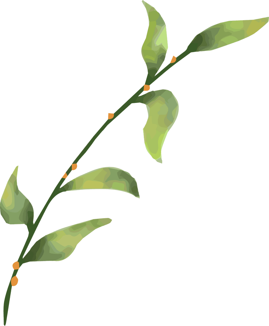 Painterly Botanical Branch with Green Leaves on Transparent Background